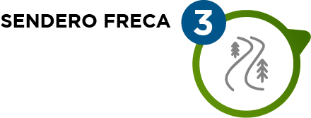 rv3