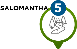 rv5