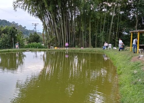 Descubre la Estancia Río Janeiro: Naturaleza, Bienestar y Experiencias Únicas.